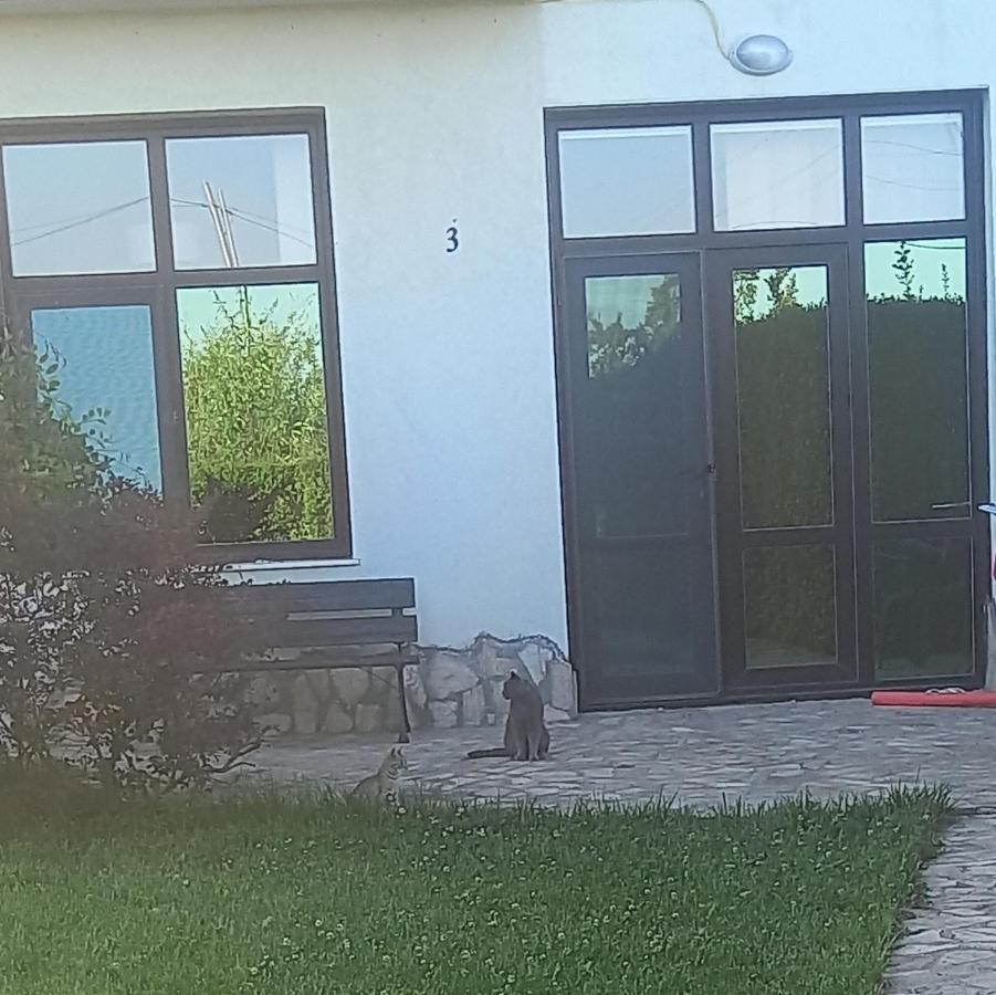 Villa Ketli Apartment Bliznatsi Εξωτερικό φωτογραφία